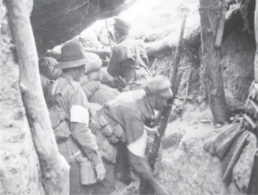 Picture on page 197, Part 2, Section 3: Lone Pine (3a–3c). The book gives no caption for it.