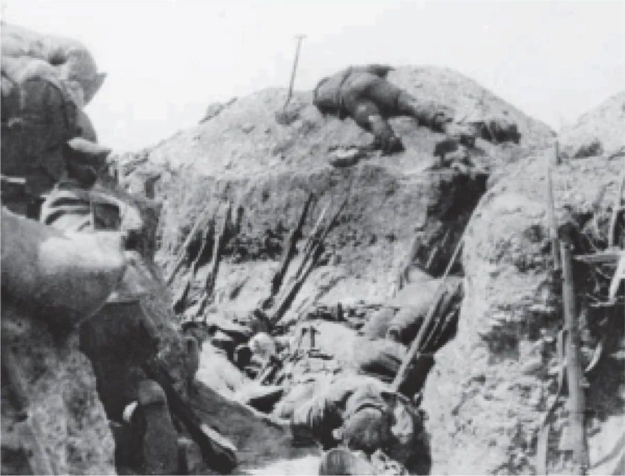 Picture on page 197, Part 2, Section 3: Lone Pine (3a–3c). The book gives no caption for it.