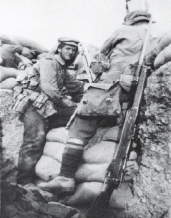 Picture on page 197, Part 2, Section 3: Lone Pine (3a–3c). The book gives no caption for it.
